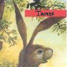 Таркер